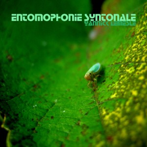 Concert Entomophonie syntonale