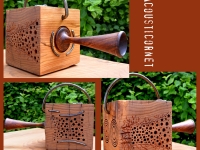 Bee's Box /Acousticornet